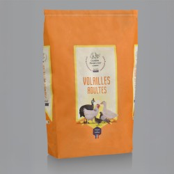 Volailles adultes