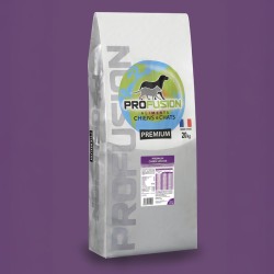 Premium chien senior 20kg