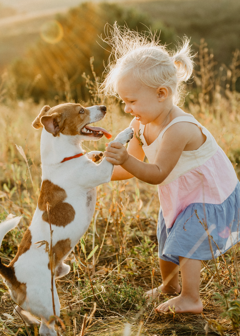 chiot et petite fille